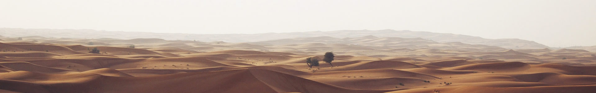 ˮ׻Ƽ޹˾